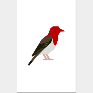 Graphic Nature - Red-Headed Weaver Posters and Art